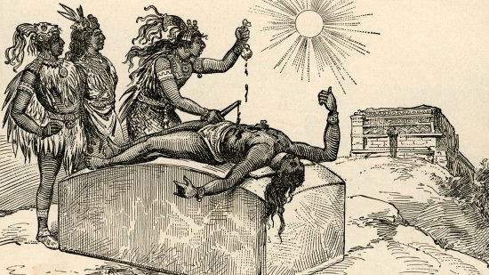 Các chuyên gia còn tiết lộ các nạn nhân có sức khỏe tốt trước khi bị đem đi hiến tế. Điều này cho thấy nghi lễ hiến tế người của nền văn minh Aztec vô cùng rùng rợn. Nhiều bí ẩn về họ vẫn chưa được khoa học làm sáng tỏ.