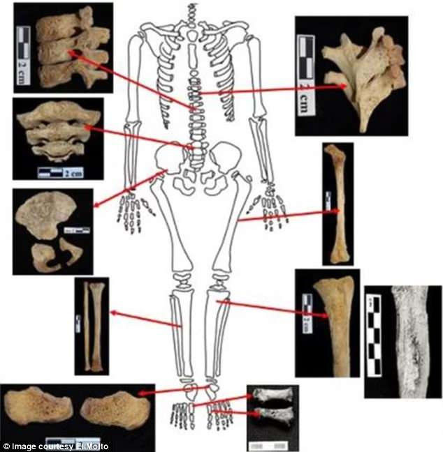Cả 3 người này đều qua đời ở độ tuổi từ 20 - 30. Việc những người này mắc bệnh ung thư và qua đời khi còn rất trẻ khiến giới chuyên gia khá bất ngờ.