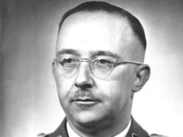 Himmler là một trong những nhân vật chủ chốt của chính quyền Đức quốc xã tham gia thực hiện thảm họa diệt chủng người Do Thái và nhiều tội ác kinh hoàng khác theo lệnh của trùm phát xít Hitler hồi Chiến tranh thế giới 2.