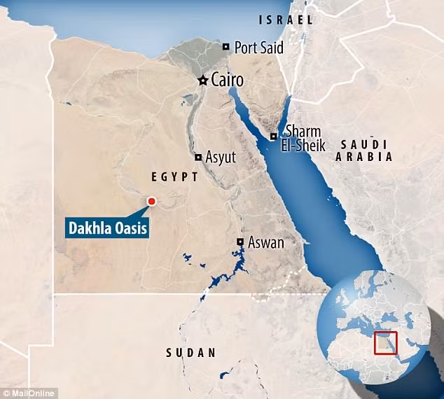 Trong số 6 bộ hài cốt trên, một người đàn ông lớn tuổi được các chuyên gia chẩn đoán bị ung thư trực tràng.