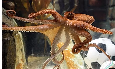 Meo diec Achilles va nhung nha tien tri ky la cua World Cup-Hinh-2