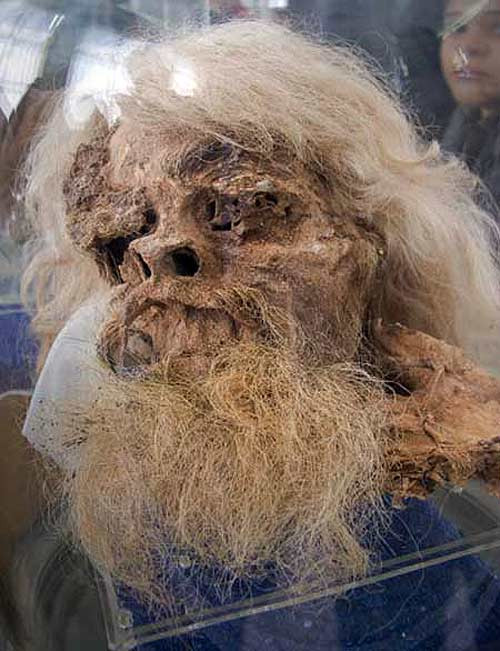 Đặc biệt, những cơ quan nội tạng dễ phân hủy như dạ dày và ruột kết trong một số xác ướp vẫn còn khá nguyên vẹn và có thể phân biệt được một cách dễ dàng.