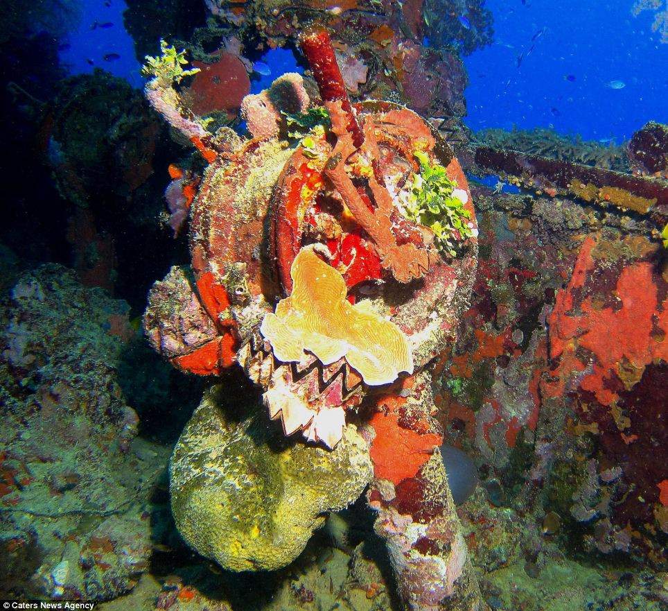 Theo thời gian, xác những phương tiện quân sự này bị rỉ sét.