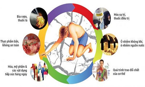 Độc tố từ môi trường là nguyên nhân dẫn đến 80% ung thư