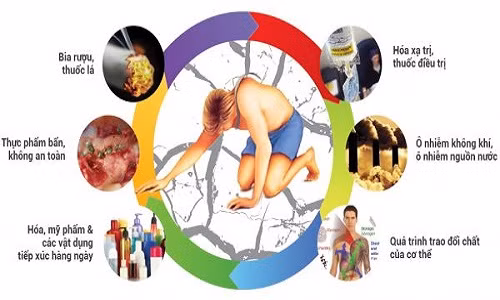 Độc tố từ môi trường là nguyên nhân dẫn đến 80% ung thư