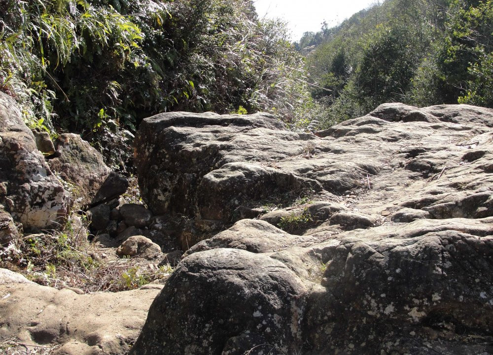 Hổ khổng lồ ăn thịt thiếu nữ Son bên hòn đá ở khe Làn Bạc.