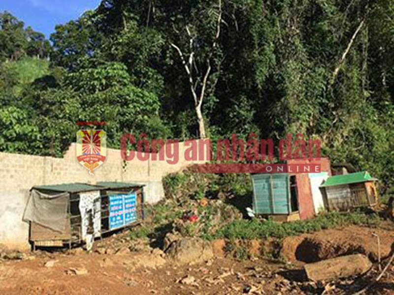 Căn nhà sát bìa rừng, rất thuận tiện cho đối tượng lẩn trốn khi có động.