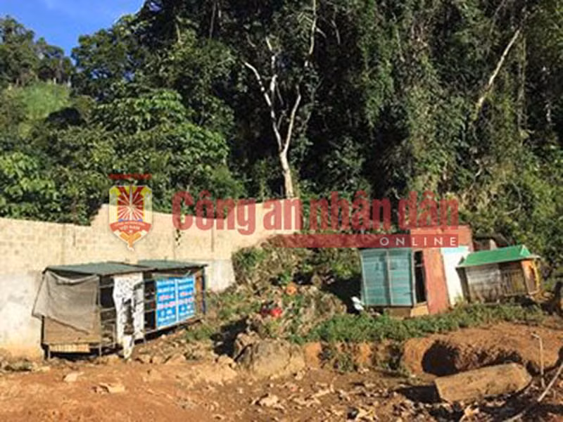 Căn nhà sát bìa rừng, rất thuận tiện cho đối tượng lẩn trốn khi có động.