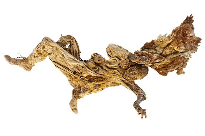 Sỡ dĩ những xác ướp này được gọi như vậy là vì chúng được bảo quản tự nhiên trong môi trường khô và mặn của các mỏ muối.