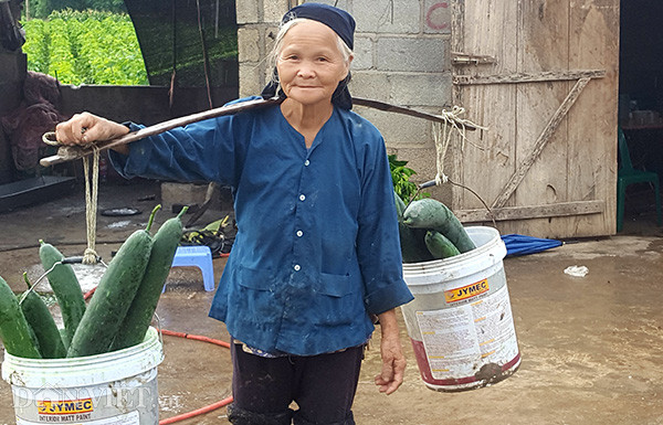 Bà Hoàng Thị Bảo tất bật gánh bí từ vườn lên xếp tập trung dọc con đường.