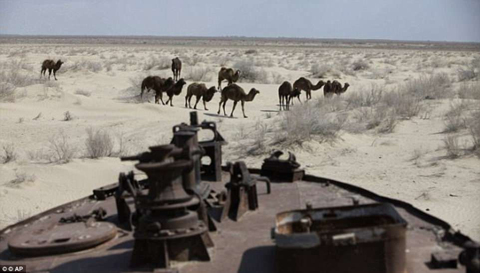 Theo thời gian, những con tàu bị hoen rỉ, nằm trơ trọi trên đất liền sau khi mực nước rút xa hàng trăm km.