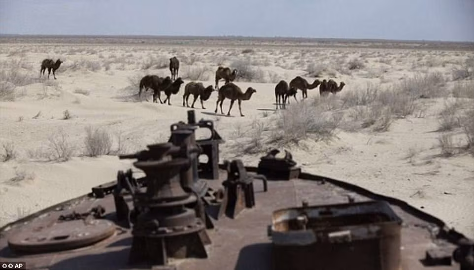 Theo thời gian, những con tàu bị hoen rỉ, nằm trơ trọi trên đất liền sau khi mực nước rút xa hàng trăm km.