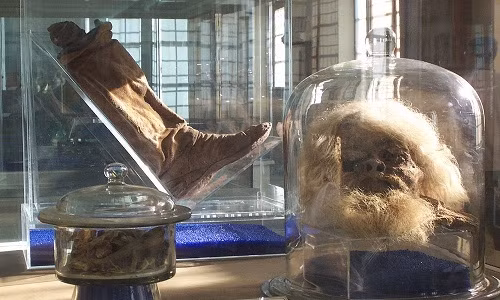 Theo đó, một số xác ướp còn vẹn nguyên râu tóc, da thịt, xương. Trang phục, đồ trang sức, vũ khí... cũng được tìm thấy bên cạnh các xác ướp.