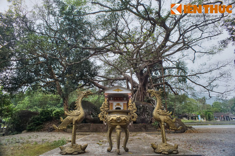 Đặc biệt, đây là một cây đa rất thiêng theo quan niệm của người dân địa phương.