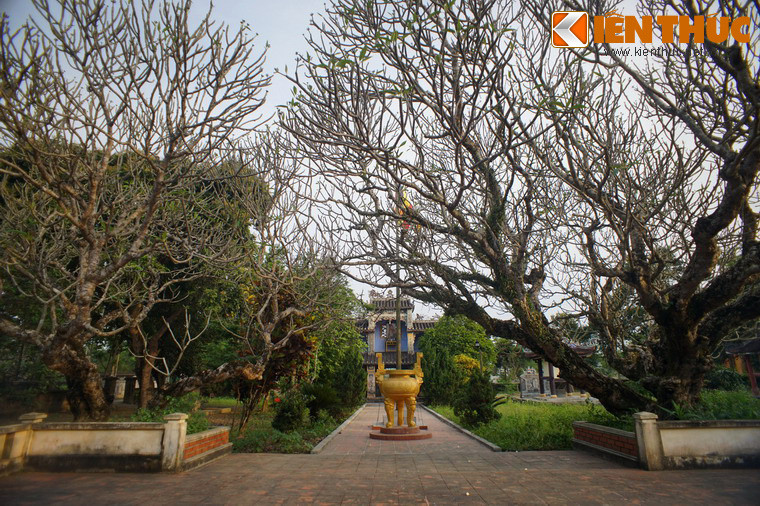 Ban đầu, chùa thuộc xóm Cồn Bệ - trung tâm của làng Hiền Lương. Nhưng về sau dân làng với lý do tránh sự tranh chấp đất đai đã dời chùa sang khu đất tiếp giáp với làng Phú Lễ.