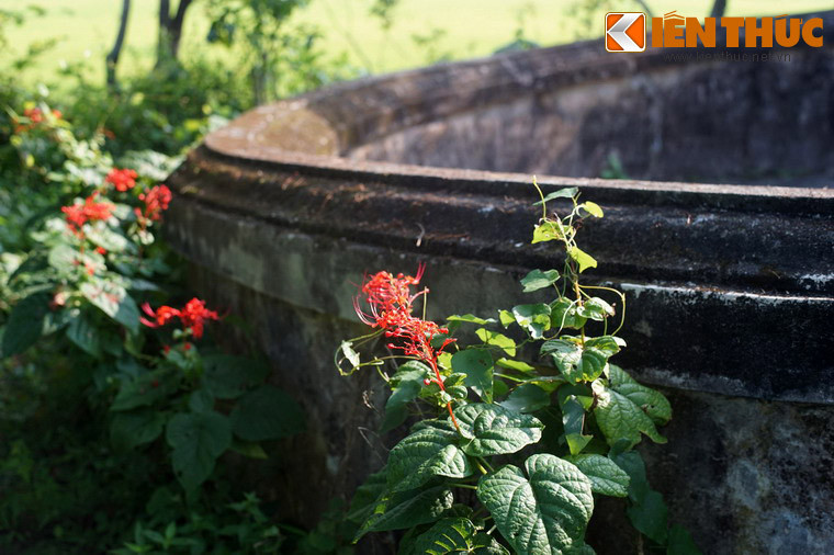 Ngày 20/11/1873, trong trận bảo vệ thành Hà Nội, Phò mã Nguyễn Lâm tử trận, tướng Nguyễn Tri Phương bị trọng thương và bị địch bắt. Khước từ mọi dụ dỗ của kẻ thù, ông đã tuyệt thực cho đến chết.