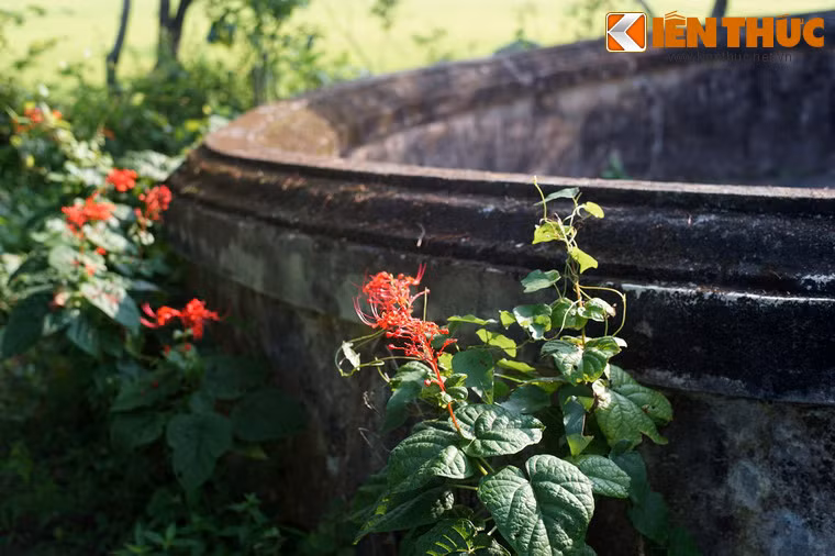 Ngày 20/11/1873, trong trận bảo vệ thành Hà Nội, Phò mã Nguyễn Lâm tử trận, tướng Nguyễn Tri Phương bị trọng thương và bị địch bắt. Khước từ mọi dụ dỗ của kẻ thù, ông đã tuyệt thực cho đến chết.