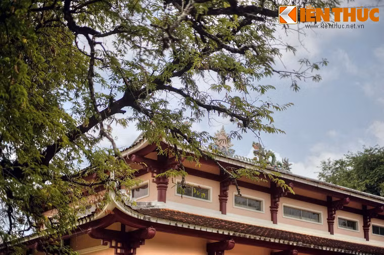 Trải qua bao biến cố lịch sử, cây me cổ thụ vẫn mạnh mẽ vươn lên với những tán lá xanh tươi.