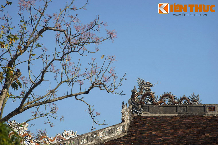 Vua Minh Mạng còn cho khắc hình cây ngô đồng lên Nhân đỉnh của Cửu Đỉnh. Đây cũng chính là chiếc đỉnh ứng với thụy hiệu của vua Minh Mạng.