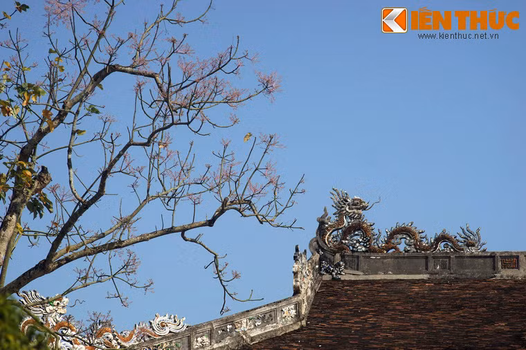 Vua Minh Mạng còn cho khắc hình cây ngô đồng lên Nhân đỉnh của Cửu Đỉnh. Đây cũng chính là chiếc đỉnh ứng với thụy hiệu của vua Minh Mạng.