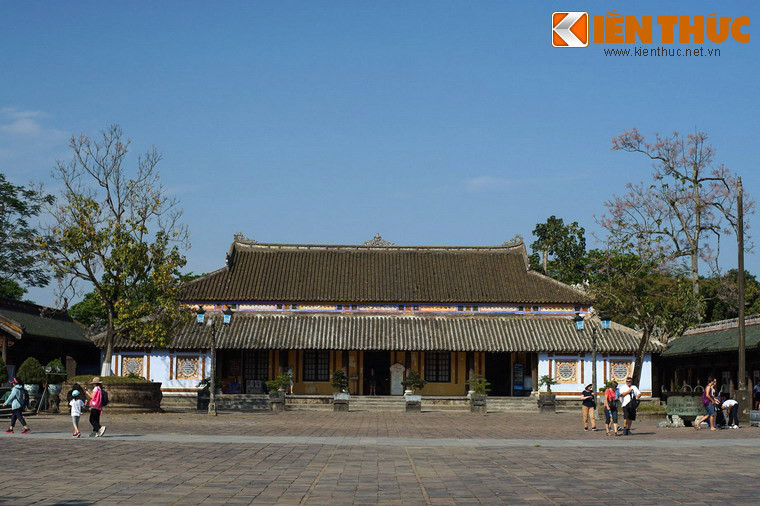 Hiện nay ở Hoàng thành Huế có 8 cây ngô đồng, tập trung ở sau Điện Thái Hoà và khu vực Tả, Hữu Vu. Trong số đó chỉ có ba cây có kích cỡ lớn.