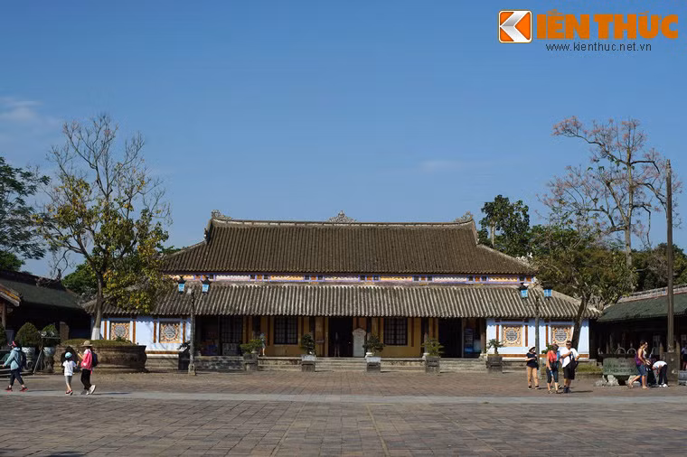 Hiện nay ở Hoàng thành Huế có 8 cây ngô đồng, tập trung ở sau Điện Thái Hoà và khu vực Tả, Hữu Vu. Trong số đó chỉ có ba cây có kích cỡ lớn.