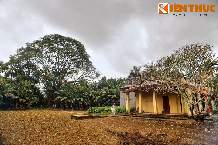 Phía sau đình làng Lâm Sơn ở xã Hành Nhân, huyện Nghĩa Hành, tỉnh Quảng Ngãi có một cây đa cổ thụ được đánh giá là độc nhất vô nhị của Việt Nam.