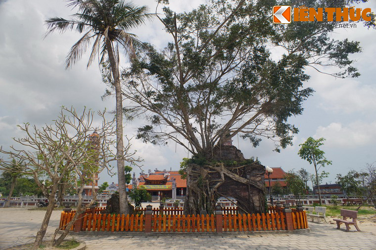 Theo sử sách, vào năm 1301, Phật hoàng Trần Nhân Tông đã ghé thăm chùa và cầu phúc đức cho dân. Khi đó chùa Hoằng Phúc có tên là Am Tri Kiến. Năm 1716, chúa Nguyễn Phúc Chu đặt tên chùa là Kính Thiên Tự. Năm 1821, vua Minh Mạng cho đổi tên là Hoằng Phúc Tự.