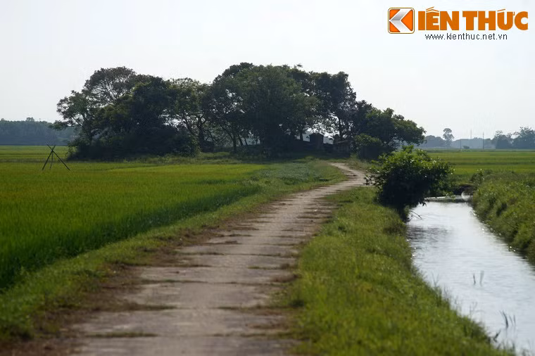 Nơi an nghỉ của cha con danh tướng Nguyễn Tri Phương là một gò đất nằm giữa cánh đồng lúa thuộc địa phận làng Chí Long, xã Phong Chương, huyện Phong Điền, tỉnh Thừa Thiên - Huế.