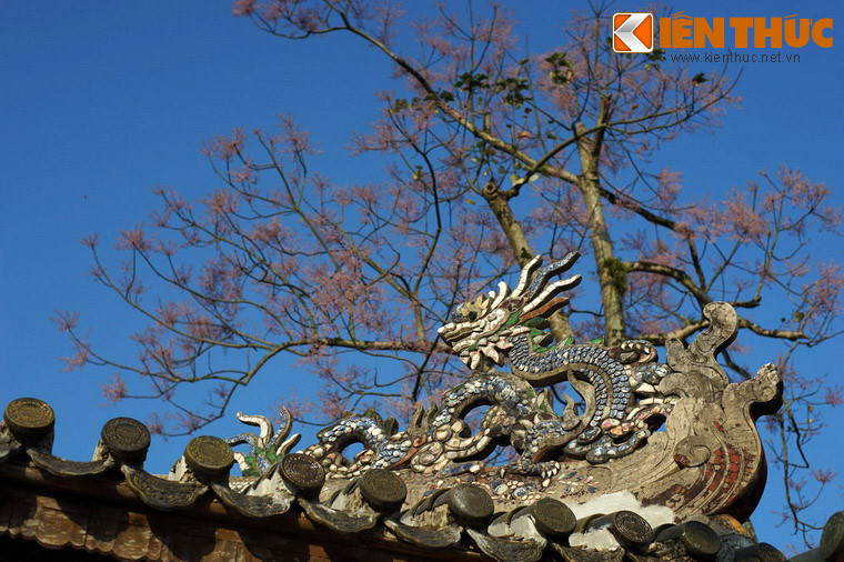 Sách Đại nam nhất thống chí ghi về cây ngô đồng như sau: "Các tỉnh ven núi đều có. Đời Minh Mạng được đưa từ Quảng Đông đem về, trồng ở hai bên góc điện Cần Chánh. Lại sai biền binh đem lá lên các núi để tìm khắp, tìm được, đem trồng ở các góc điện".