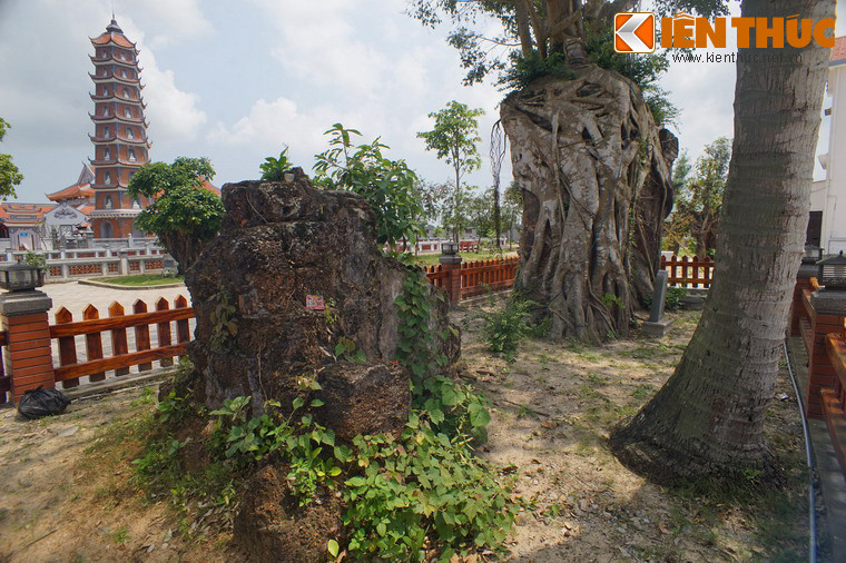 Trong giai đoạn kháng chiến chống Mỹ, chùa đã bị hư hỏng nặng do bom Mỹ đánh phá năm 1967. Trong cơn bão số 12 năm 1985, chùa tiếp tục bị sụp đổ. Những năm sau đó, chùa được dựng tạm để phục vụ nhu cầu tâm linh của quần chúng. Ảnh: Các phế tích của chùa Hoằng Phúc xưa.