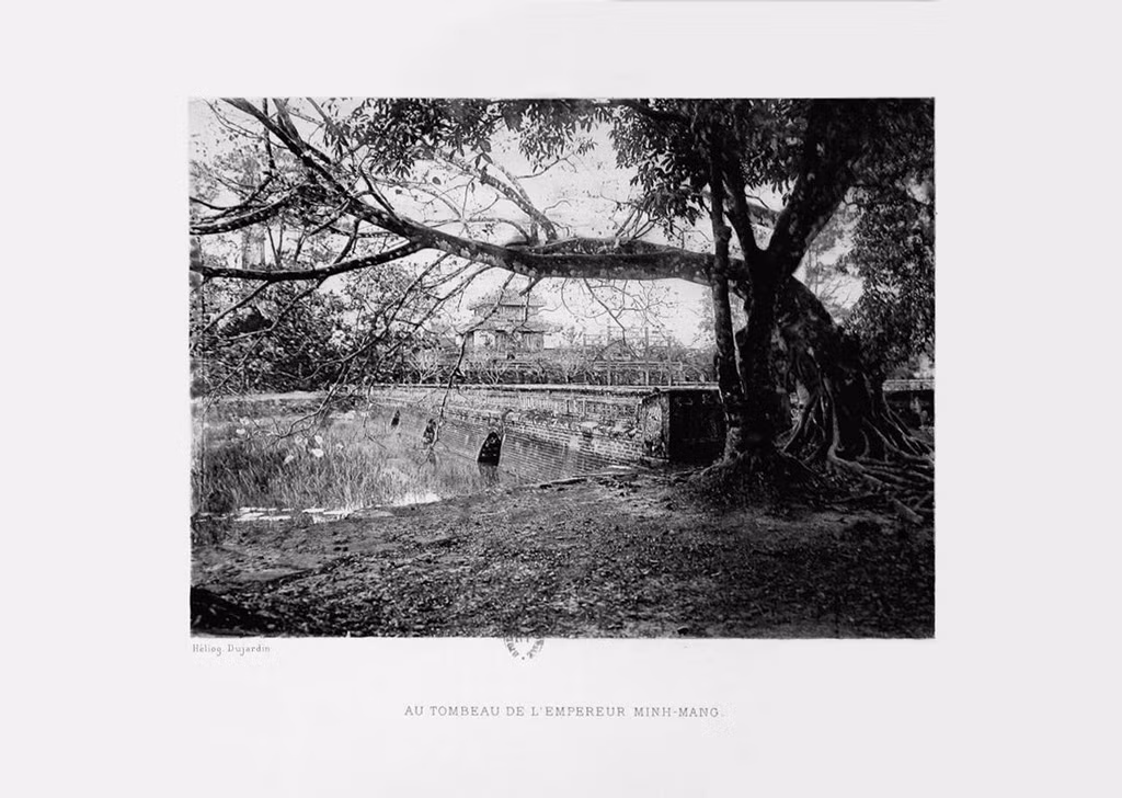 Cây cổ thụ trong lăng vua Minh Mạng. Ảnh tư liệu.