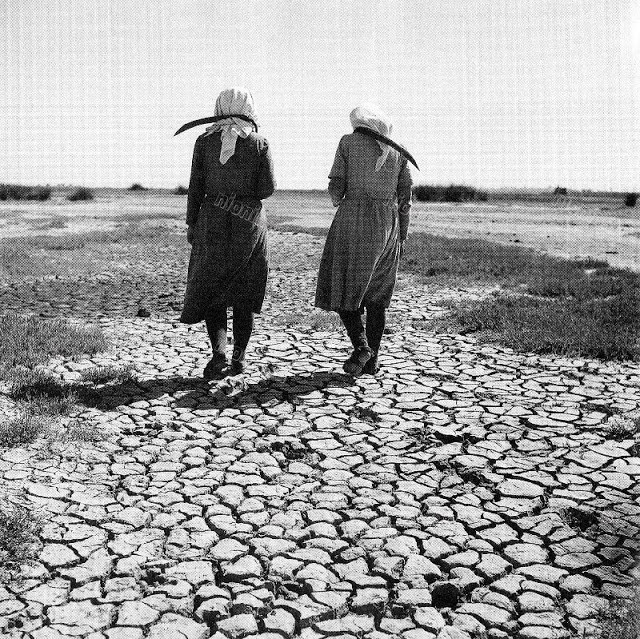 Hai phụ nữ bước đi trên mặt đất khô cằn ở tỉnh Kavala, tháng 9/1950. Ảnh: Dionysis Anninos.