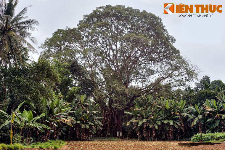 Một số hình ảnh khác.