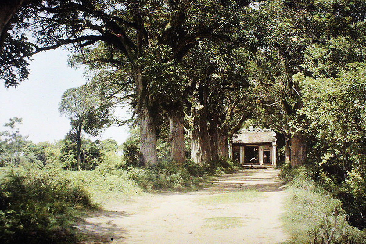 Lối vào đền Voi Phục gần làng Thủ Lệ. Ảnh: Leon Busy.