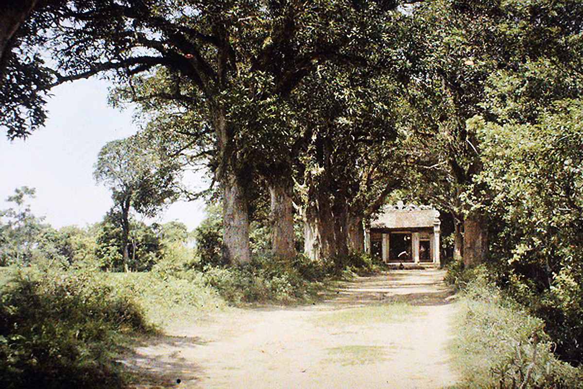 Lối vào đền Voi Phục gần làng Thủ Lệ. Ảnh: Leon Busy.