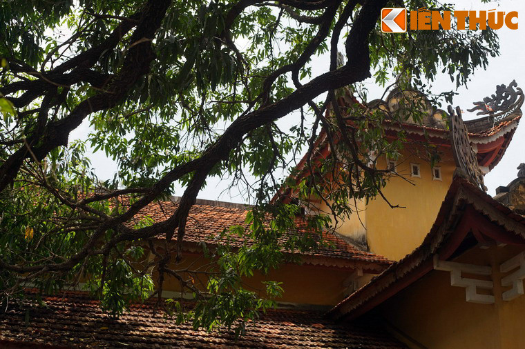 Theo các ghi chép của nhà chùa, nhiều cây xoài trong khu vườn này đã có từ trước khi ngôi chùa được xây dựng vào năm 1797, tính đến nay đã trên 200 năm.