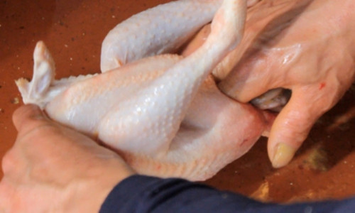 Gà cúng nên mổi moi để sau khi luộc, gà sẽ đẹp hơn. Rạch một đường nhỏ ở diều khoảng 2 - 3cm, lôi toàn bộ diều và cuống họng ra. Sau đó, rạch 1 đường khoảng 4cm ở gần hậu môn gà rồi thò tay vào bên trong và nhẹ nhàng lôi hết nội tạng của gà ra, tránh để nát và vỡ mật. Ảnh: giadinh