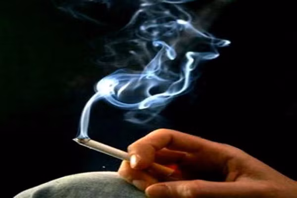 Ống xì gà và khói thuốc cũng có thể gây ra ung thư phổi, mặc dù nguy cơ không cao bằng hút thuốc. Trong khi, một người hút một gói thuốc có nguy cơ ung thư phổi 25%, thì ngửi nhằm khói thuốc lại có nguy cơ mắc bệnh gấp 5 lần người bình thường.