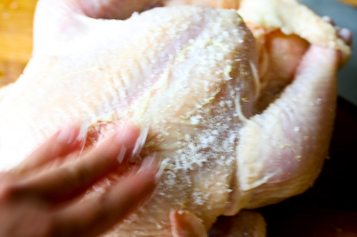 Dùng muối xát đều lên thân gà sau khi làm lông để làm sạch lông măng và khử mùi hôi. Ảnh: steamykitchen