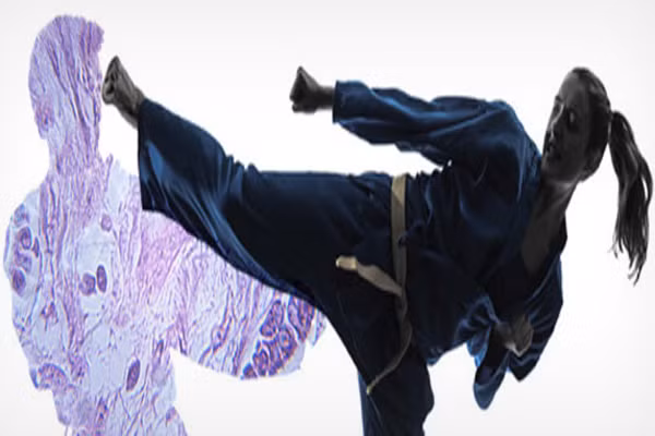 Sau khi các axit đã thực hiện xong công việc của mình, các tế bào dạ dày sẽ trung hòa nó với bicarbonate kiềm mà không gây hại gì cho dạ dày. Thế nhưng, dù có tiết ra siêu chất nhầy bao nhiêu thì cũng không đủ để chống lại các axit ăn mòn, vì vậy mà, cứ 3 ngày một lần là ít nhất, nó lại tái sinh lớp màng cũ bằng lớp mới sáng bóng.