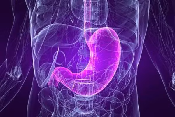 6. Dạ dày tái sinh hai lần một tuần. Có bao giờ bạn tự hỏi, tại sao dạ dày không tiêu hóa chính nó? Dạ dày hoạt động bằng cách giữ lại các chất đường, dinh dưỡng thiết yếu để tránh bị axit phân hủy rồi sau đó trung hòa các chất này và chuyển tới trực tràng.