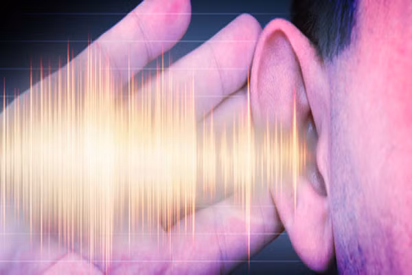 4. Định vị bằng âm thanh. Đây là cách mà loài dơi bay trong bóng tối, chúng phát ra âm thanh và chờ âm thanh đó vọng lại để truyền hình ảnh ba chiều đến não. Do đó mà chúng vẫn bay đúng hướng trong đêm tối mịt mùng.