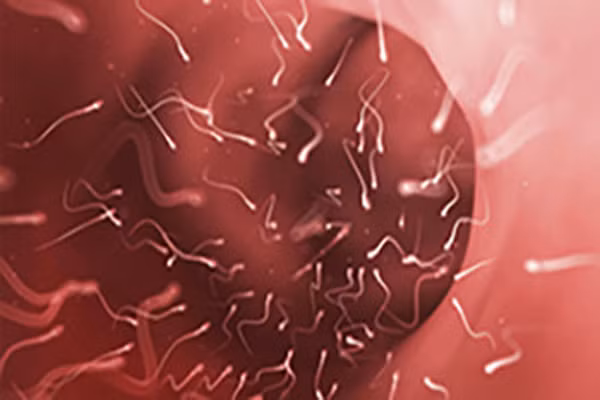 1. Hệ thống miễn dịch giúp bài trừ ung thư hàng triệu lần mỗi ngày. Bạn có thể tránh thuốc lá, rượu và thay bằng chế độ nhiều rau xanh vẫn không thể giảm nguy cơ mắc bệnh. Do vậy mà khi một tế bào bị hư hại làm thay đổi các DNA thì hệ thống miễn dịch sẽ lập trình lại một lần để tiêu diệt những tế bào đó.