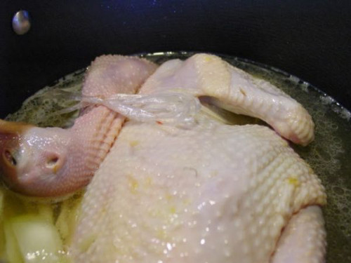 Chọn nồi to, sâu lòng đủ để đặt gà vào vừa vặn, tránh để gà bị xô lệch. Đổ nước lạnh cao ngập mình gà, cho 1 ít gừng đập dập và bột canh vào, bật bếp đun với lửa lớn. Khi sôi thì vặn nhỏ lửa lại, để sôi âm ỉ. Ảnh: ochaisan