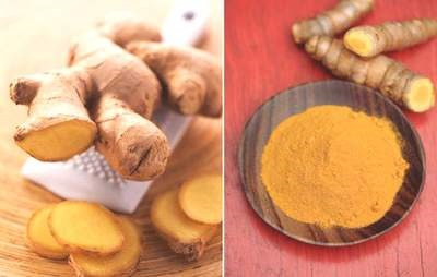 Nghệ. Người ta phát hiện rằng chính Curcumin có trong nghệ vàng có tác dụng hủy diệt tế bào ung thư theo cơ chế từng bước, ức chế hoạt hóa tín hiệu NF-Kappa B. Đây là yếu tố đóng vai trò quan trọng trong giai đoạn khởi phát và tiến triển của ung thư vì vậy nó có tác dụng kìm hãm tế bào ung thư ở cả ba giai đoạn khởi phát, tiến triển và giai đoạn cuối. Nó còn là một chất chống oxy hóa mạnh mẽ với lợi ích bảo vệ gan, và không hề có tác dụng phụ.