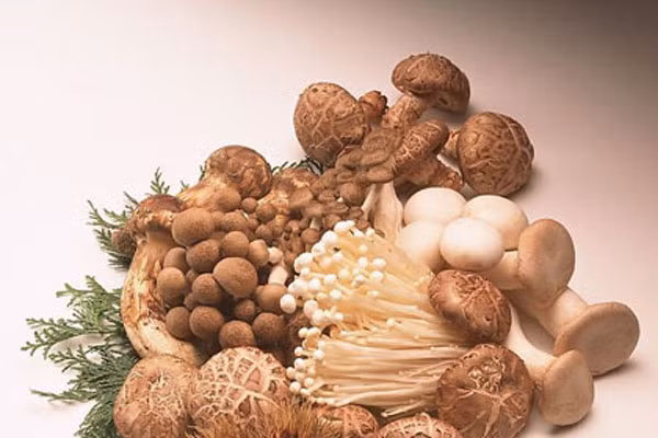 Nấm. Không chỉ là món ăn ngon, các loại nấm còn có tác dụng tăng cường sức đề kháng cơ thể, giải độc, chống lão hóa, làm giảm nguy cơ mắc các bệnh như ung thư, tim mạch. Tuy nhiên, hãy lựa chọn kỹ kẻo nhầm với những loại nấm độc.