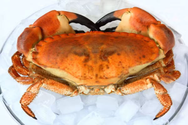 Cua. Thịt cua biển nên rất giàu kẽm, vitamin A, C giúp tăng miễn dịch cho cơ thể bé. Và cua biển còn được xem như là một món ăn dinh dưỡng phòng tránh chứng còi xương cho bé vì cua giàu chất đạm hòa tan, canxi nên bé dễ hấp thu hơn.