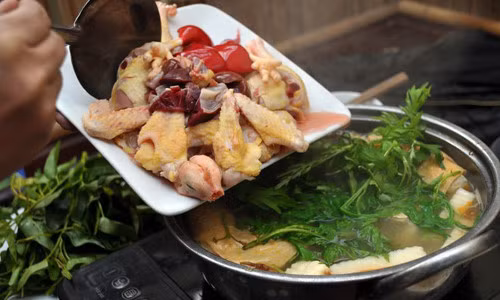 Lẩu gà Cửa Bắc. Quán nằm giữa phố Cửa Bắc bên ngoài trông khá lịch sự nhưng thực chất giá cả cũng bình dân, vừa túi tiền. Quán lấy tên Nem nướng Xuân Dần nhưng lẩu gà non của tiệm thì cực ngon. Gà ở đây không phải gà công nghiệp, mà gà chỉ nhỏ tầm hơn 1kg, khách gọi mới… vặt lông, cắt tiết nên đĩa gà luôn đầy đủ cả chân cẳng, lòng mề. Ảnh: zing