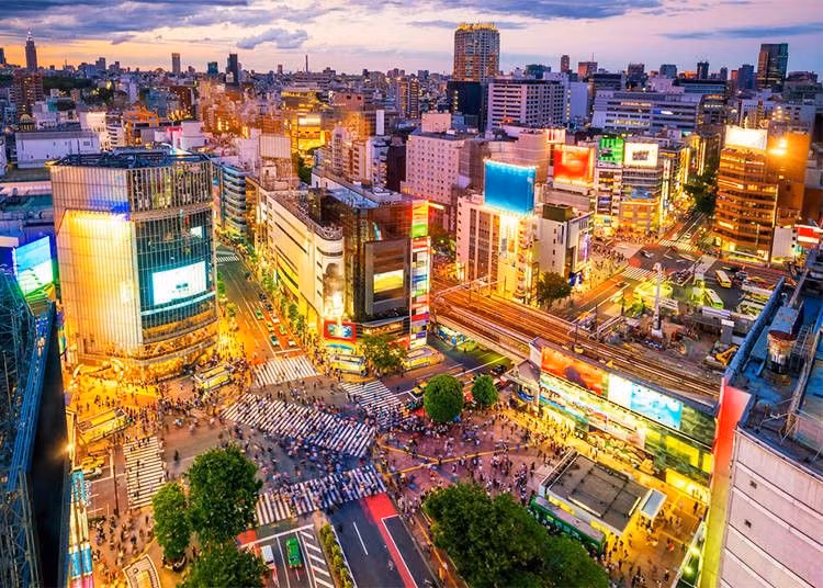 Thành phố Tokyo. Với 23 phường và 35 triệu dân, Tokyo nổi tiếng với giao lộ sôi động nhất thế giới như giao lộ Shibuya cùng những ga tàu đông đúc nhất ở quận Shijuku. Tokyo cũng là trung tâm văn hóa Otaku (văn hóa truyện tranh, hoạt hình) với vô số các cửa hàng game, truyện tranh và điện tử tại quận Akihabara. (Nguồn: Live Japan).